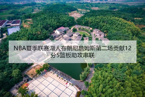 NBA夏季联赛湖人布朗尼詹姆斯第二场贡献12分5篮板助攻串联