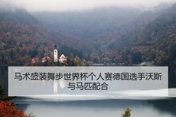 马术盛装舞步世界杯个人赛德国选手沃斯与马匹配合